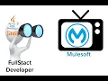 MuleSoft for Java and Full Stack Devs on Mulesoft EcoSystem