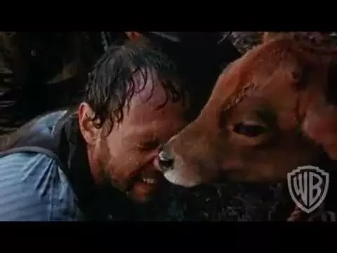 Trailer 2