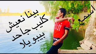 الاغنيه اللي هتخليك تعرف معني الحب كليب اغنيه بينا نعيش غناء احمد بيبو للفنان  عامر منيب  دندنها