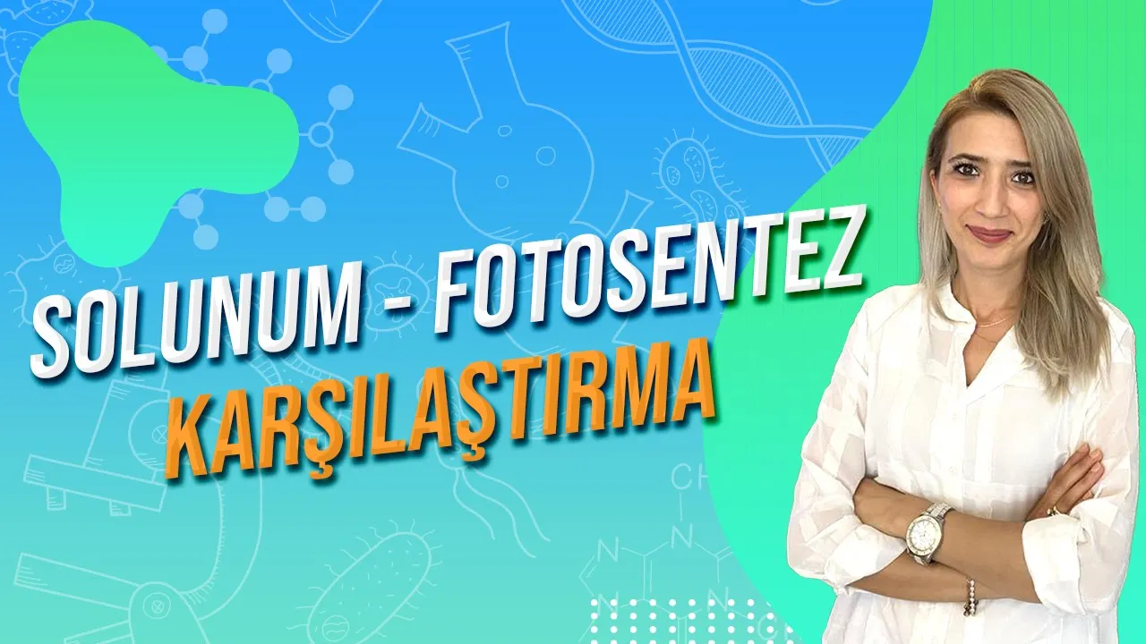 FOTOSENTEZ - SOLUNUM İLİŞKİSİ  | Seda Hoca Biyoloji 🧬#ayt2024