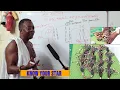 IFA eFA SCHOOL ACADEMY TO KNOW WHY YOU ARE ON EARTH
