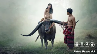 Download RSL-Lagu Dayak kalimantan Balang Belum Hinje MP3