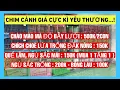 Download Lagu 03/9/25 : CHÀO MÀO MÁ TRẮNG, MÁ ĐỎ✅QUẾ LÂM MÁI L✅CHÍCH CHOÈ LỬA✅NGỦ SẮC TRỐNG, MÁI✅BÔNG LAU ĐÍT VÀNG