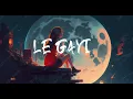 Le Gayi ( Slowed + Reverb ) | Dil to pagal hai | Lofi Beat