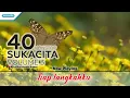 Download Lagu Maranatha Singer - 40 Nonstop Sukacita Volume 3