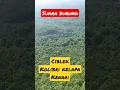 Download Lagu SUARA BURUNG : KOLIBRI KELAPA,KENARI,CIBLEK