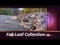 Fall Leaf Collection in Midland Michigan
