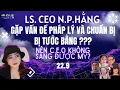 Download Lagu LS. CEO N.P.HẰNG tại Mỹ gặp vấn đề pháp lý, có thể bị tước bằng nên CEO không thể tới Mỹ ?????