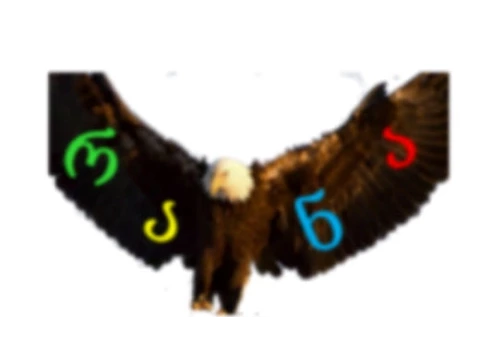 №5 ნახეთ თუ რა კავშირი აქვს ობობას---ინფო ბიზნესთან..