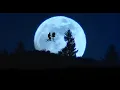 Video di E.T. ita