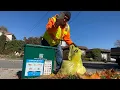 Trash Pickup