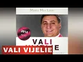 Download Lagu VALI VIJELIE - CUM E VIATA OMULUI (OFICIAL 2014)