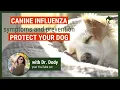 Canine Influenza-Symptoms Prevention and Vaccination