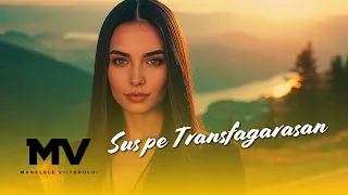 Manelele Viitorului Sus Pe Transfagarasan Official Video 