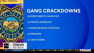 Gang crackdown nets multiple arrests