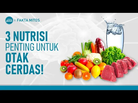 Wajib Tahu! Penyebab Otak Lemot dan Pola Makan Agar Otak Cerdas