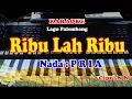 Download Lagu Lagu Palembang Nada PRIA - RIBU LAH RIBU - KARAOKE