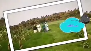 يوسف خيري ابوقل بنجي 