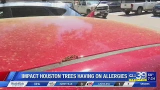 Houston doctor tries to provide relief to allergy sufferers