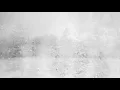 Paul Haslinger - A Young Fellow (Official Video)