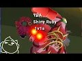YBA ruby cd boxing 1v1s