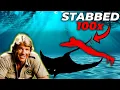 The TERRIFYING Last Minutes of Steve Irwin The Crocodile Hunter