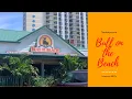 Download Lagu Bull on the Beach