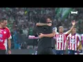 of Colombian Professional Football The Shark won its 12th star