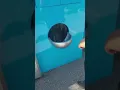 mr beast gumball machine