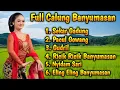 Full Album Calung Banyumasan ‼️