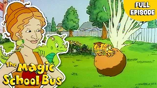 Spring Is Here! | Goes to Seed | Full Episode | The Magic School Bus
