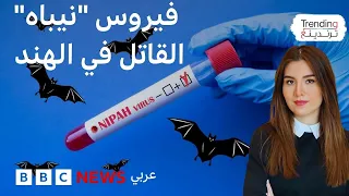 فيروس  نيباه  القاتل في الهند يثير مخاوف في آسيا واستنفارا  في المطارات دندنها
