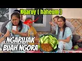 Download Lagu NGERUJAK SIANG SIANG - BIKIN NGARUY || vlog terbaru iting chanel