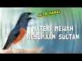Lagu AUTO MAHAL, Murai Batu Tembakan SADIS ! Cocok untuk Masteran Materi Mewah Kesukaan Sultan