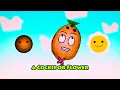 Cococnut Hen - Willie, Flower Or Coconut? 🌭🌼🥥? - Who or What Are You? 🥥🌈 | I'm a Coconut