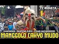 Tari Bujang Ganong Terbaru Jaranan MANGGOLO CAHYO MUDO