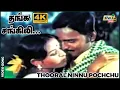 Download Lagu தங்க சங்கிலி மின்னும் பைங்கிளி தானே...| K. Bhagyaraj | Sulakshana | Ilaiyaraaja | Raj 4K Songs