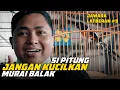 Download Lagu JAWARA LATBERAN #9: Sipitung Murai Balak yang Sering di Kucilkan | Latber SKM