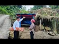 Lagu Kind CEO helps a poor homeless girl build her dream house - a journey of overcoming difficulties