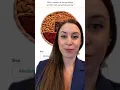 Kristen s Take on GiftDrop by Nuts com