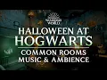 Download Lagu Harry Potter Music \u0026 Ambience | Halloween at Hogwarts - Common Rooms, .with ASMR Weekly