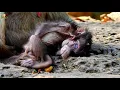 MILLION SAD OLD TIMA HURT SLEEP DRAG NEAR HER NEWBORN NOT RELEASE |