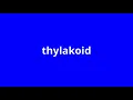 what is the meaning of thylakoid
