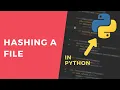 Hashing a File - 1 Minute Python Tutorial