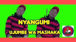 salawa nyangumi ujumbe wa mashaka audio official msambazaji doto k gashi