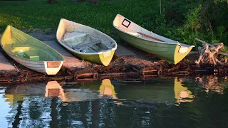 ماهر فايز مين في بكايا 