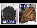 EXTREME NATURAL HAIR TRANSFORMATION LOWLIGHTS HIGHLIGHTS TRILIGHTS BASE COLOR ON TYPE 4 HAIR
