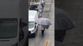 STAY COVERED Locals In Miami Are Not Messing Around With The Wet Weather