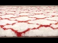 qhfDeCp - oM0