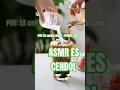 ASMR Cendol Segar: Santan Lembut yang Bikin Meleleh! 😍